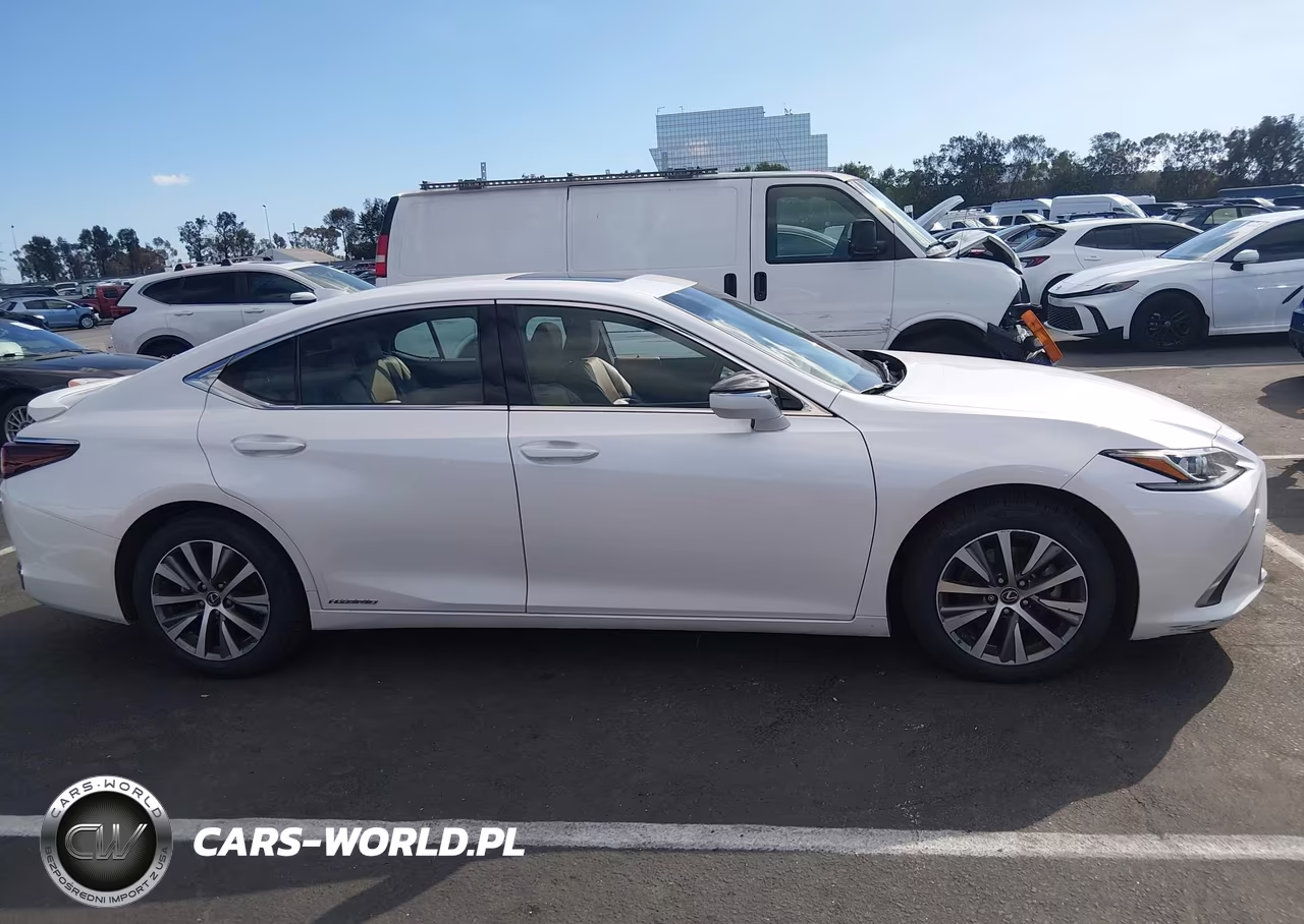 2020 Lexus Es 300H VIN:58AD21B11LU005104 - 13