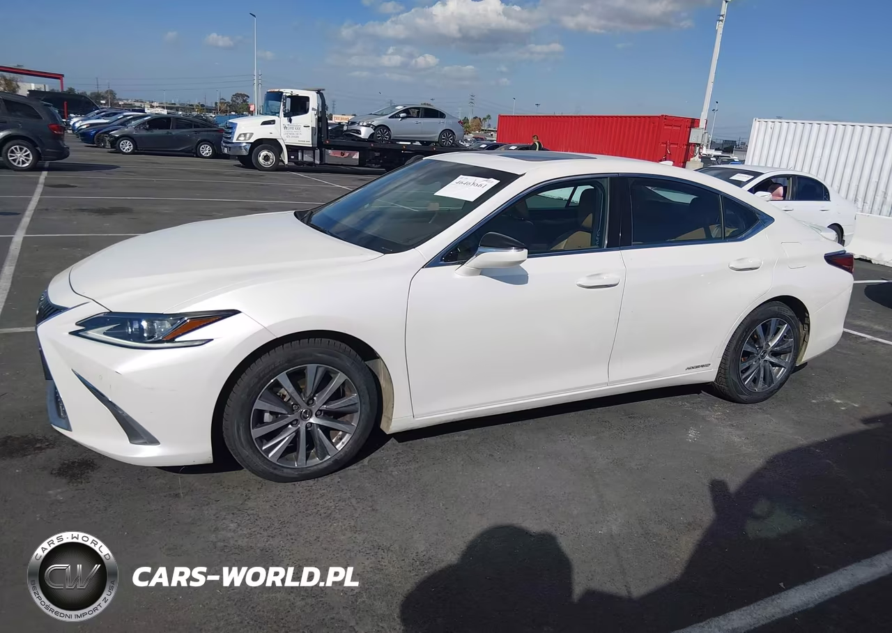 2020 Lexus Es 300H VIN:58AD21B11LU005104 - 14