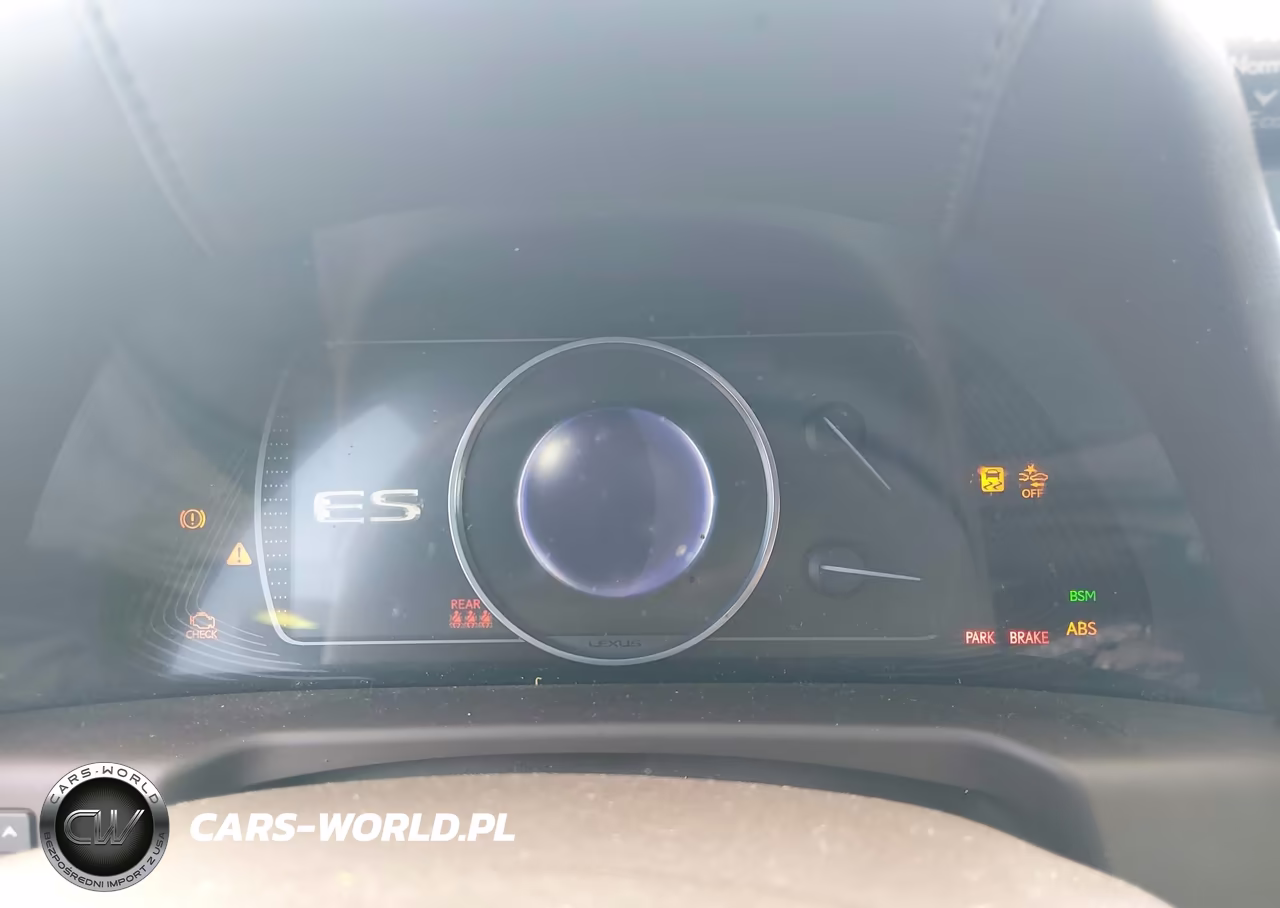 2020 Lexus Es 300H VIN:58AD21B11LU005104 - 15