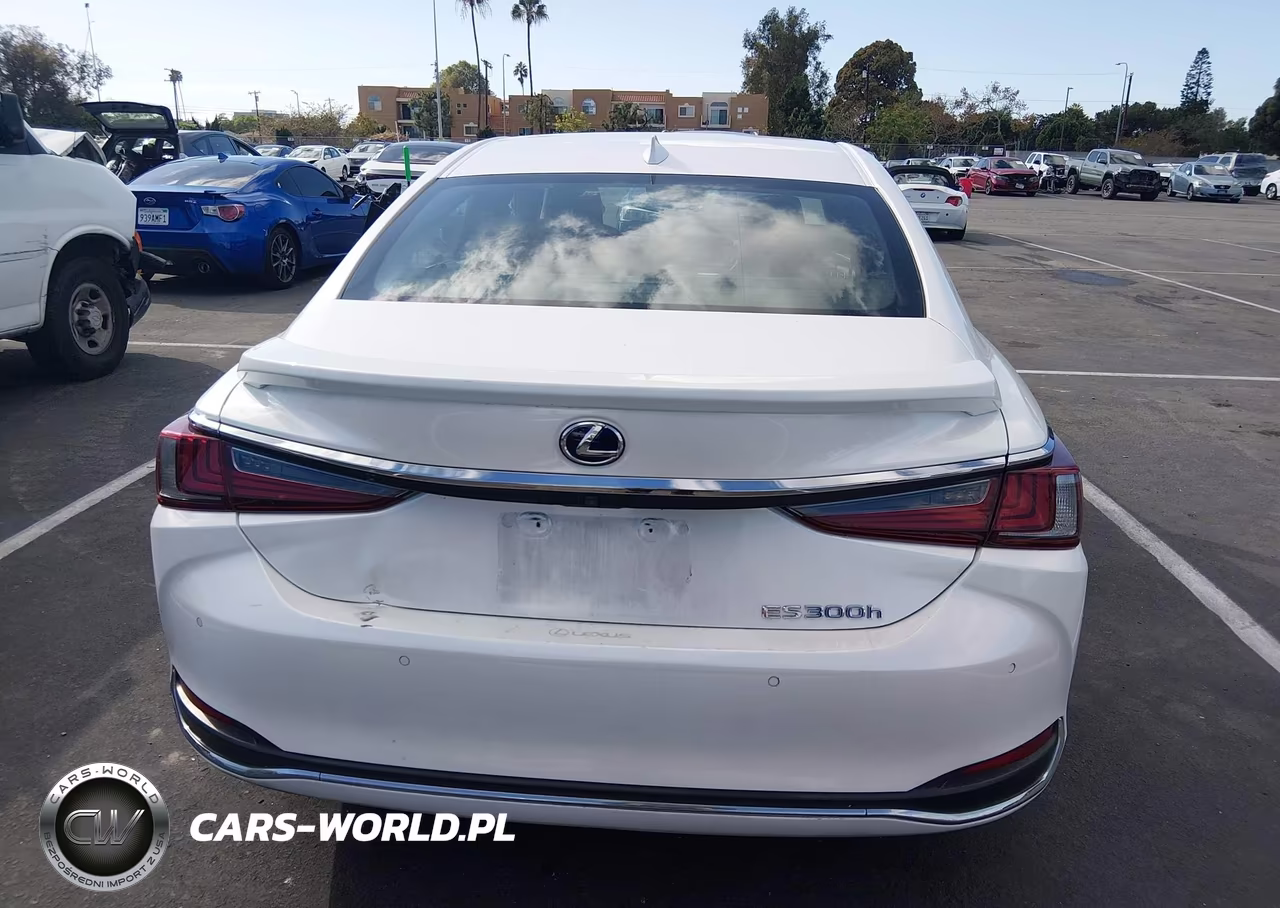 2020 Lexus Es 300H VIN:58AD21B11LU005104 - 16
