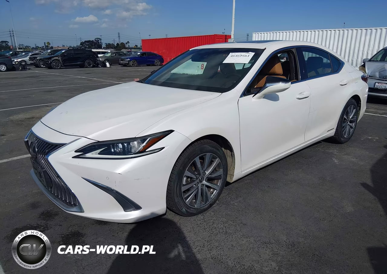 2020 Lexus Es 300H VIN:58AD21B11LU005104 - 2