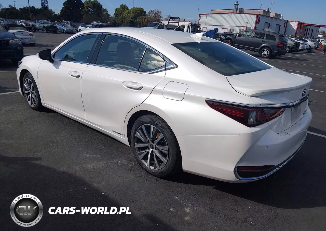 2020 Lexus Es 300H VIN:58AD21B11LU005104 - 3