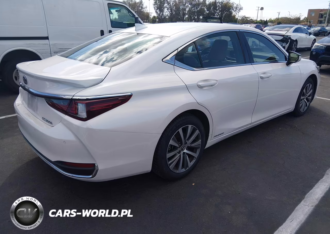 2020 Lexus Es 300H VIN:58AD21B11LU005104 - 4