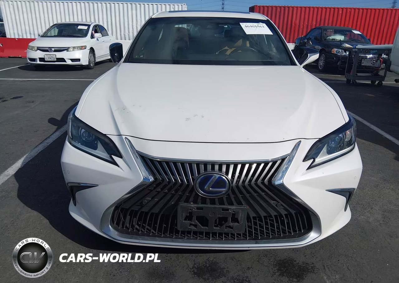 2020 Lexus Es 300H VIN:58AD21B11LU005104 - 6