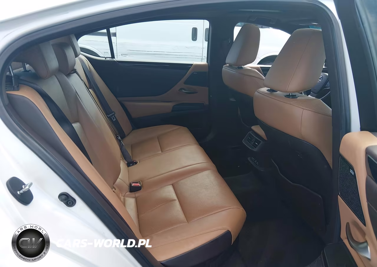 2020 Lexus Es 300H VIN:58AD21B11LU005104 - 8