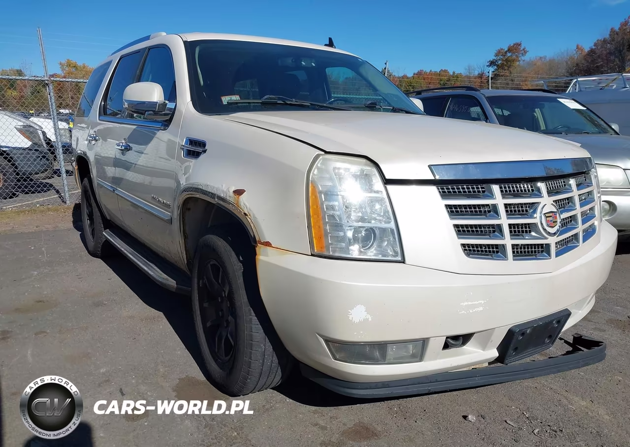 2010 Cadillac Escalade Luxury
