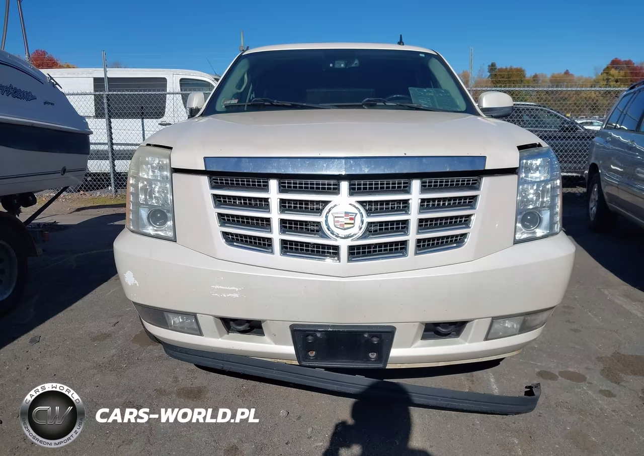2010 Cadillac Escalade Luxury VIN:1GYUKBEF0AR116911 - 12
