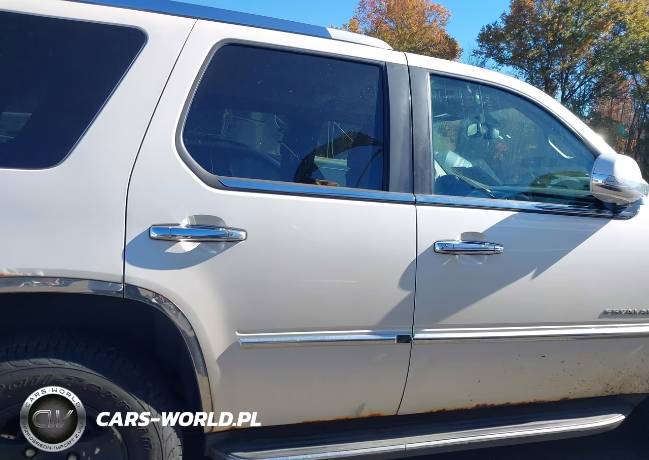 2010 Cadillac Escalade Luxury VIN:1GYUKBEF0AR116911 - 13