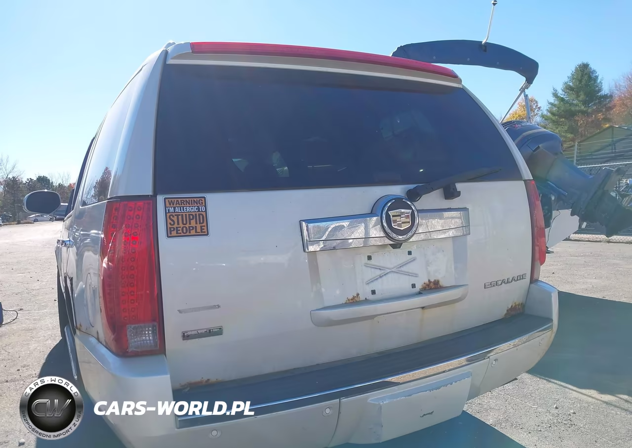 2010 Cadillac Escalade Luxury VIN:1GYUKBEF0AR116911 - 16