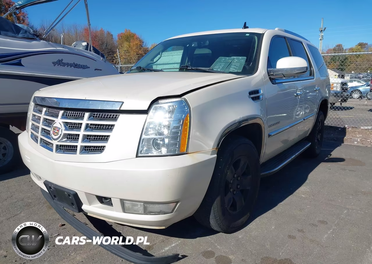 2010 Cadillac Escalade Luxury VIN:1GYUKBEF0AR116911 - 2