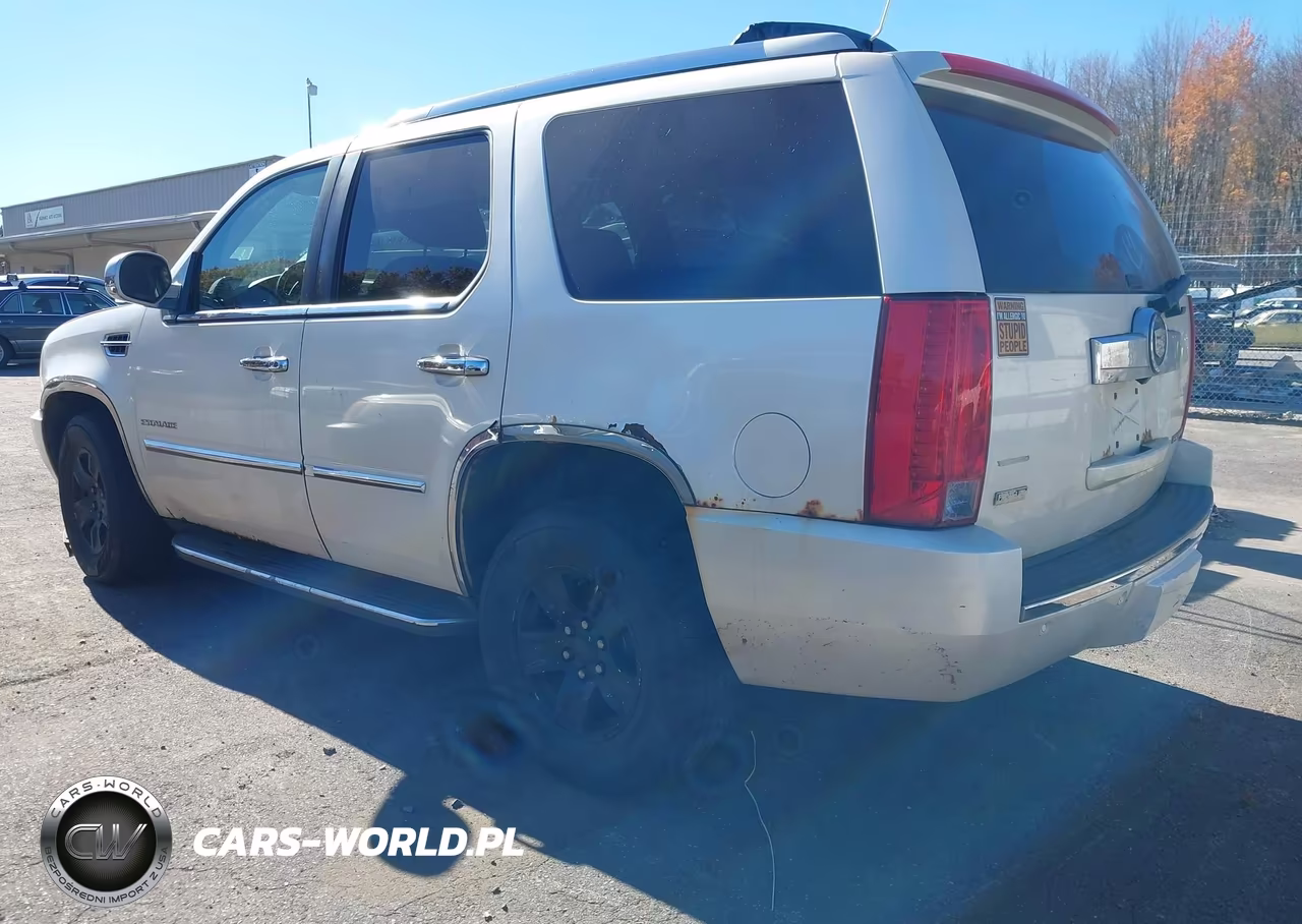 2010 Cadillac Escalade Luxury VIN:1GYUKBEF0AR116911 - 3