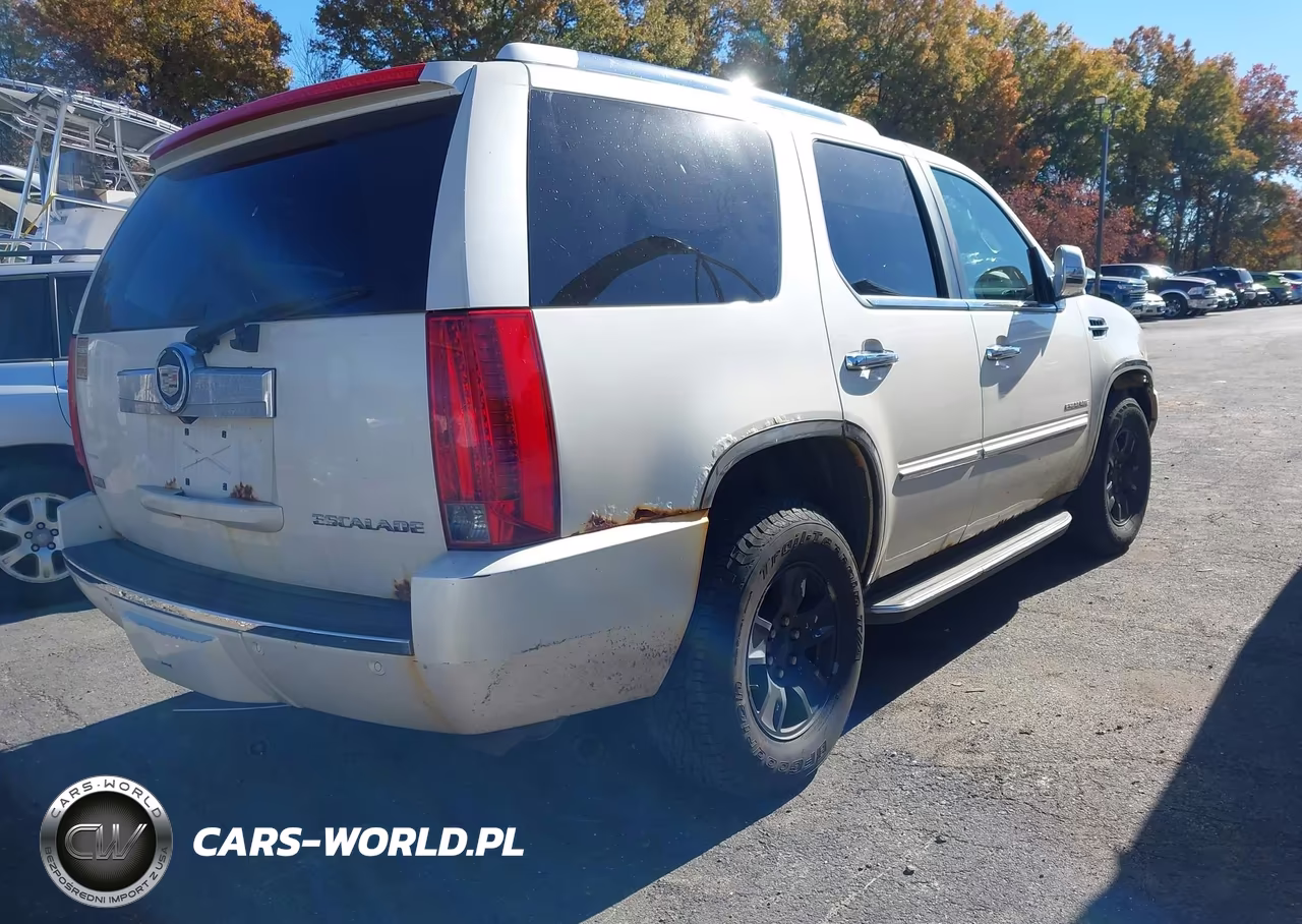 2010 Cadillac Escalade Luxury VIN:1GYUKBEF0AR116911 - 4