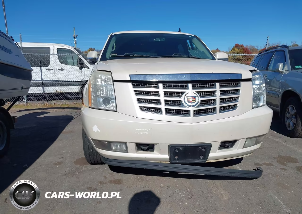 2010 Cadillac Escalade Luxury VIN:1GYUKBEF0AR116911 - 6