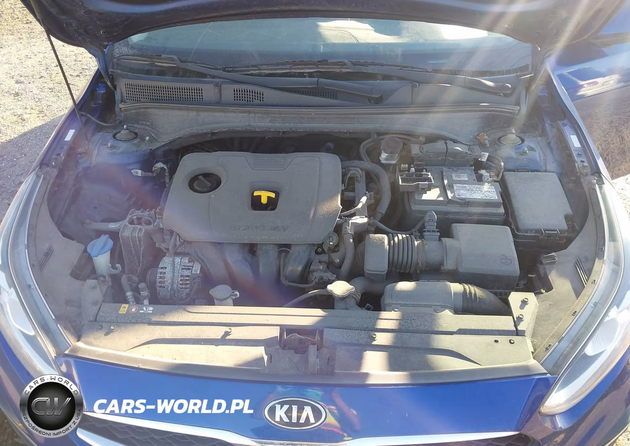 2019 Kia Forte S VIN:3KPF34AD5KE078195 - 10