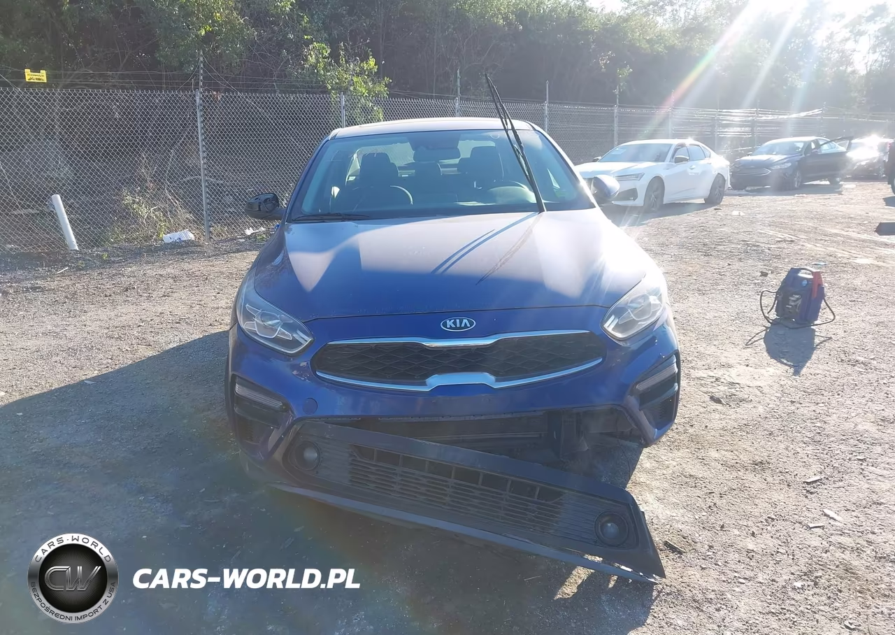 2019 Kia Forte S VIN:3KPF34AD5KE078195 - 12
