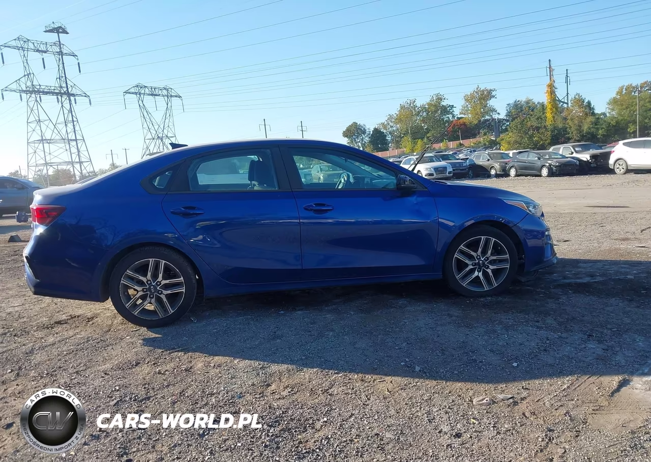 2019 Kia Forte S VIN:3KPF34AD5KE078195 - 13