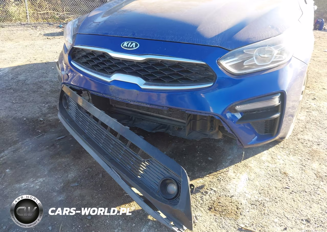 2019 Kia Forte S VIN:3KPF34AD5KE078195 - 6