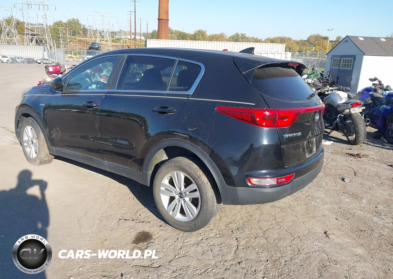 2017 Kia Sportage Lx VIN:KNDPMCAC3H7116227 - 3