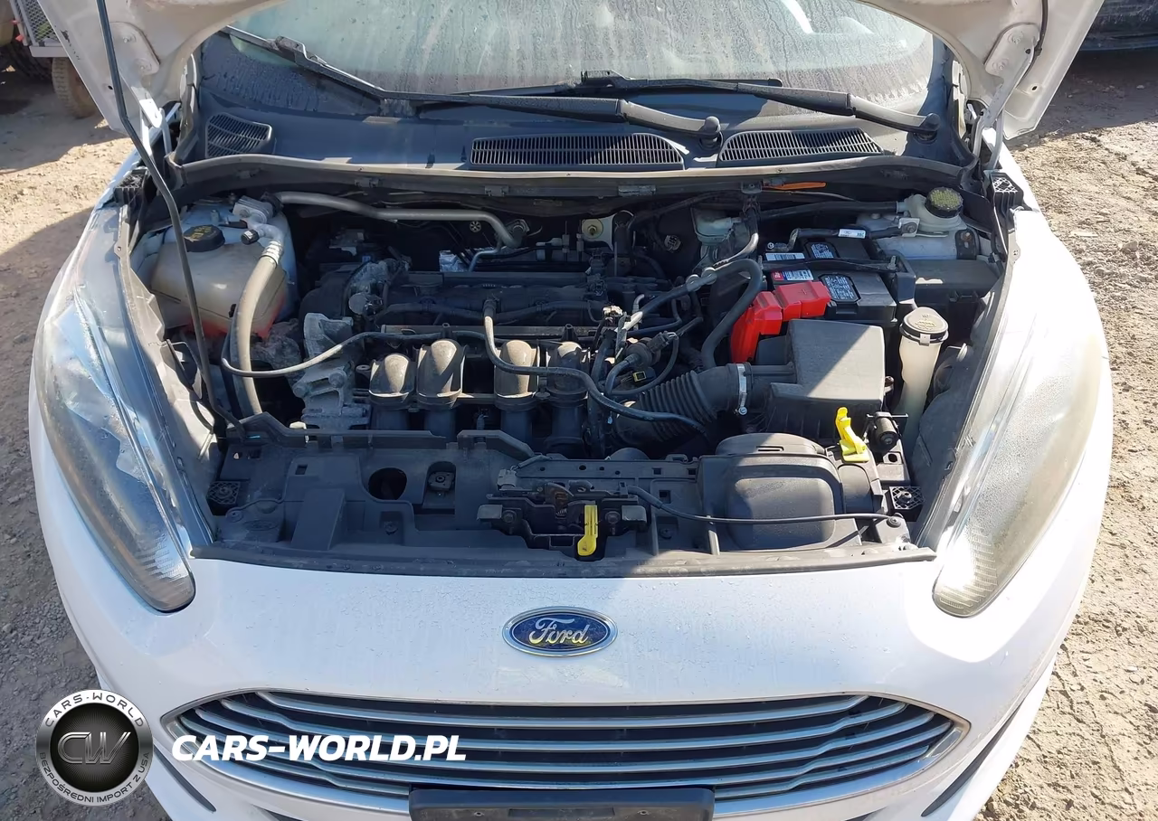 2016 Ford Fiesta Se VIN:3FADP4BJ6GM167891 - 10