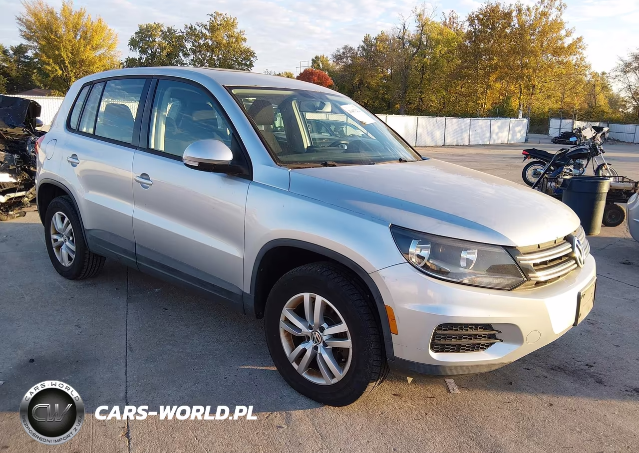 2013 Volkswagen Tiguan S VIN:WVGAV7AXXDW539654 - 1