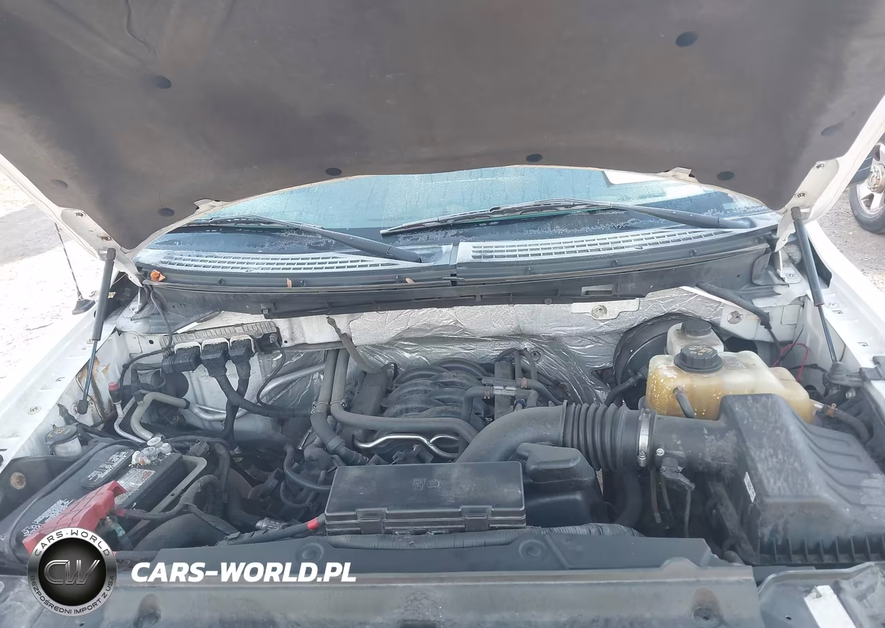 2013 Ford F-150 Xl VIN:1FTNF1CF4DKE78720 - 10