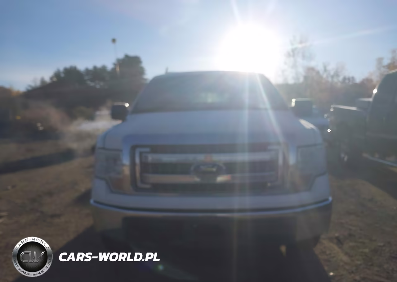 2013 Ford F-150 Xl VIN:1FTNF1CF4DKE78720 - 12