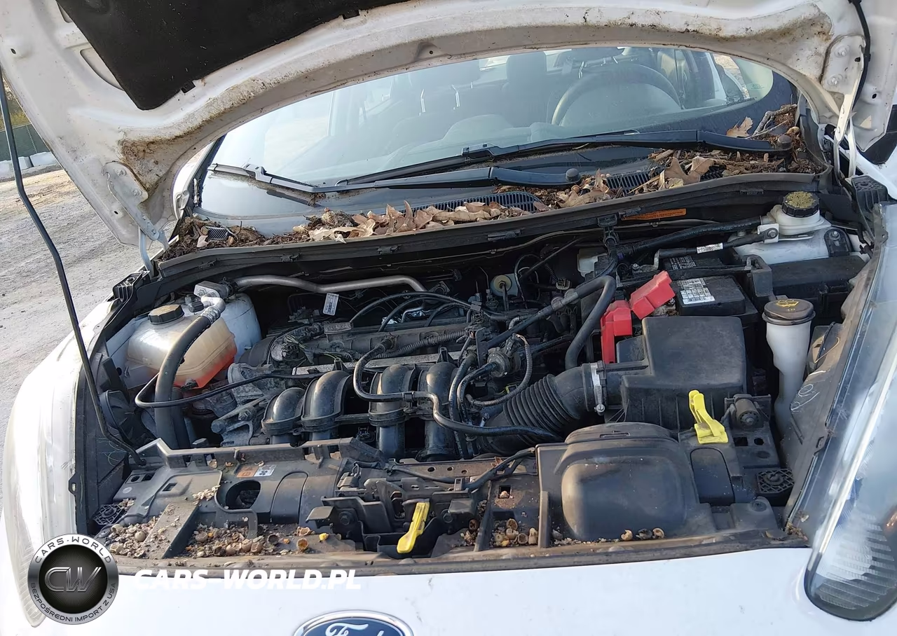 2019 Ford Fiesta Se VIN:3FADP4BJ0KM119506 - 10