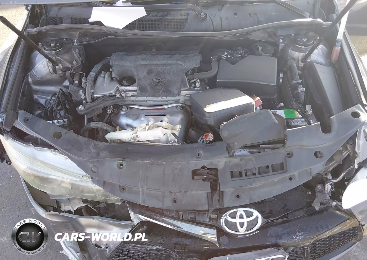 2016 Toyota Camry Se VIN:4T1BF1FKXGU198736 - 10