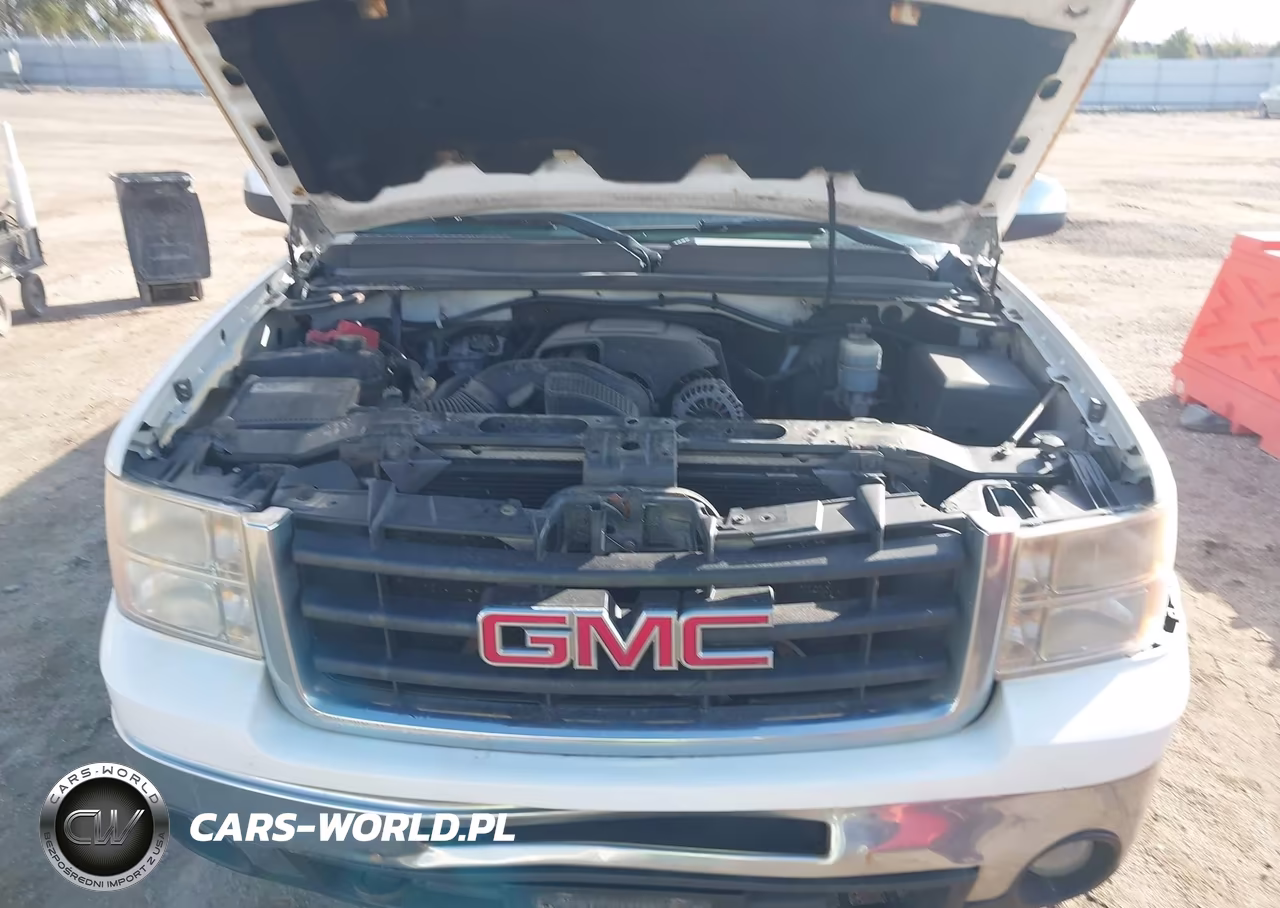 2010 GMC Sierra 1500 Slt VIN:3GTRKWE34AG123935 - 10