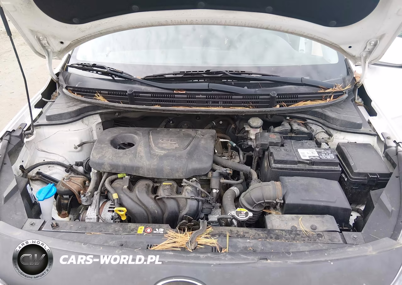 2019 Kia Rio S VIN:3KPA24AB5KE171570 - 10