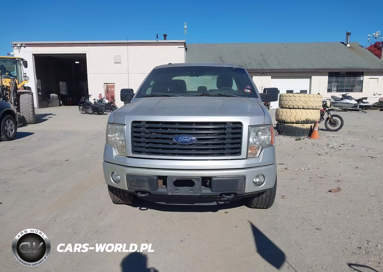 2014 Ford F-150 Stx VIN:1FTEX1EM4EKF66984 - 12