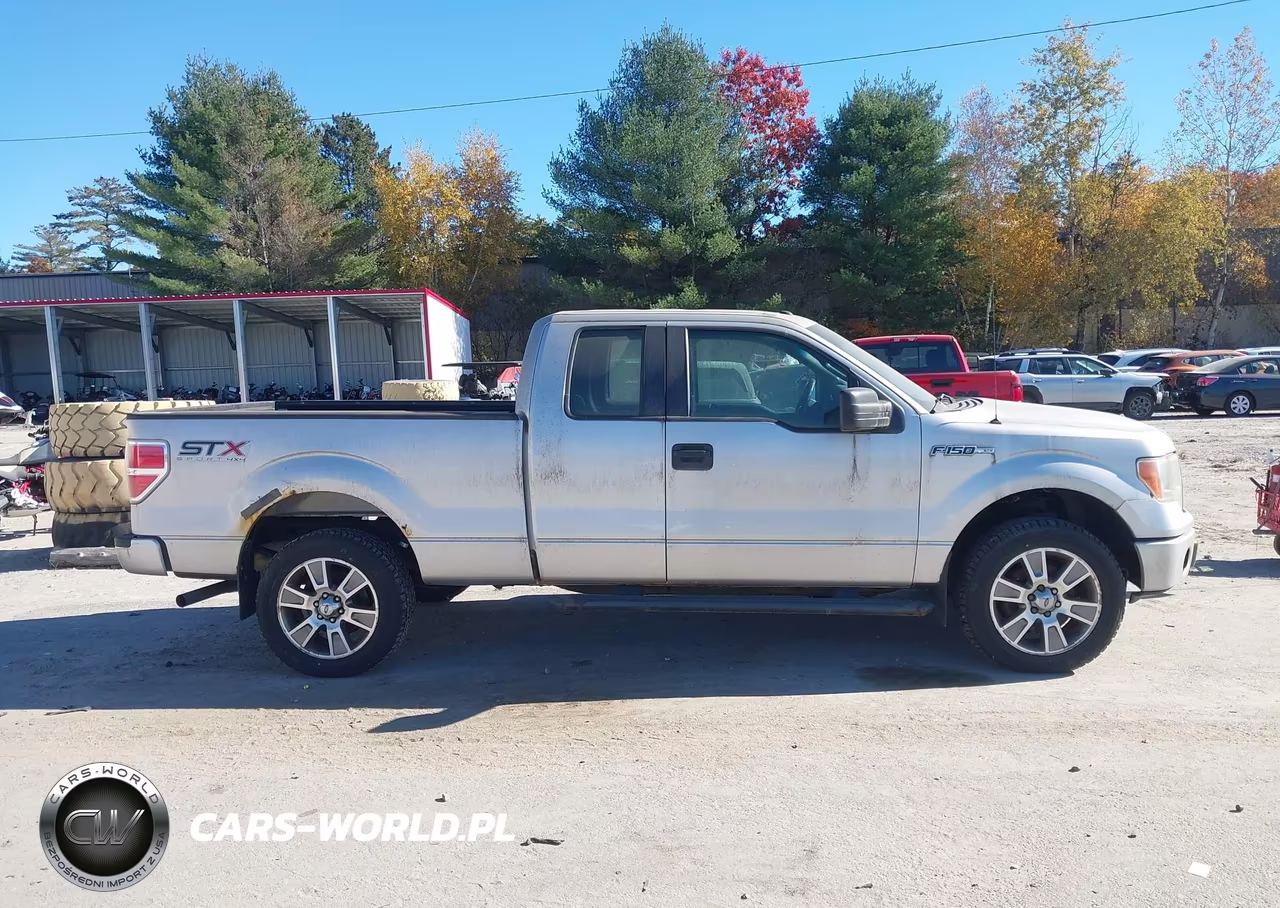 2014 Ford F-150 Stx VIN:1FTEX1EM4EKF66984 - 13