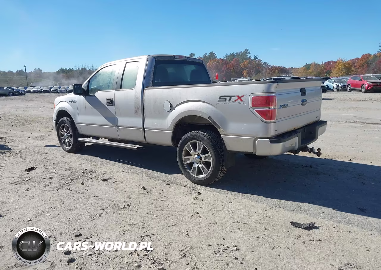 2014 Ford F-150 Stx VIN:1FTEX1EM4EKF66984 - 3