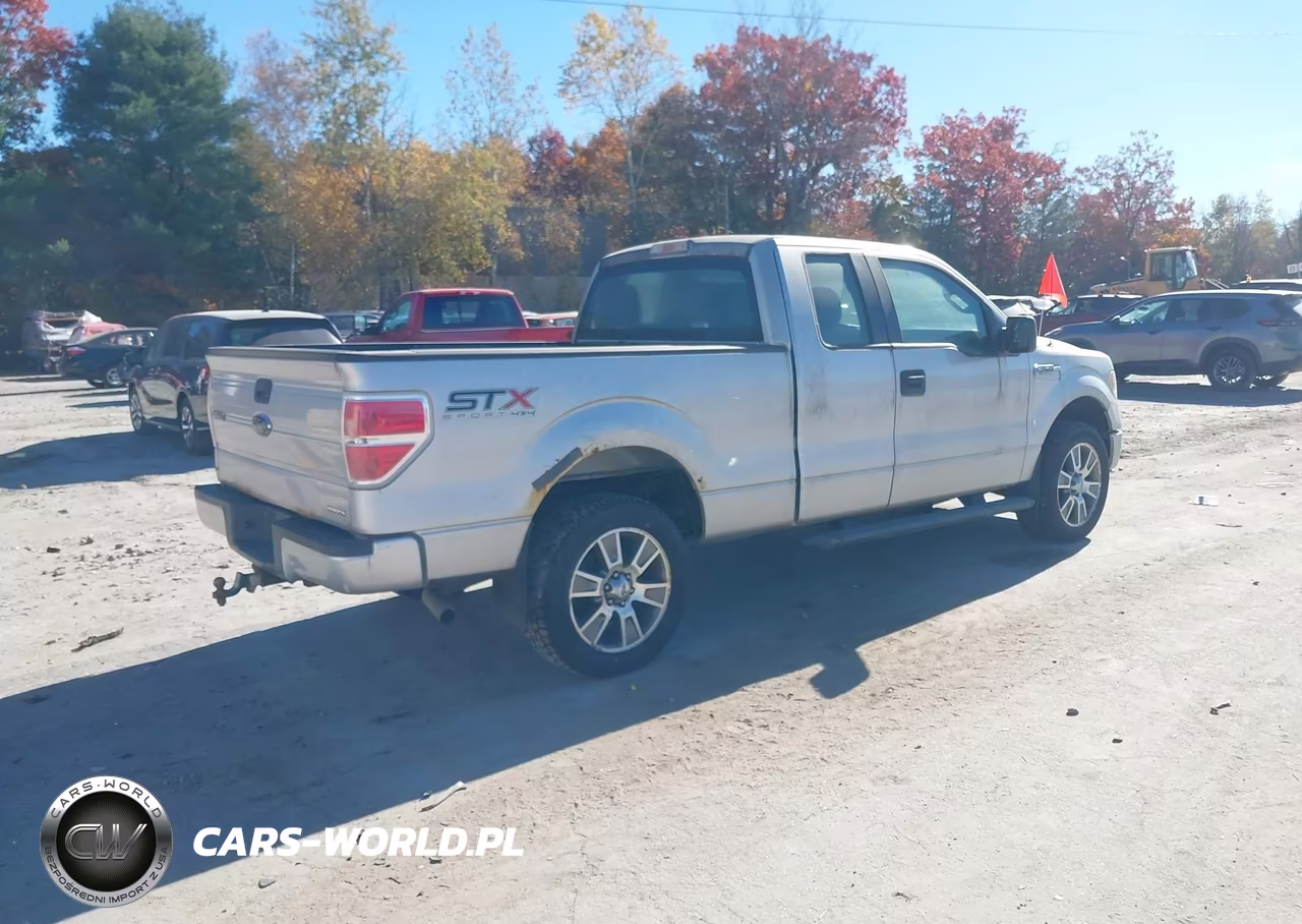 2014 Ford F-150 Stx VIN:1FTEX1EM4EKF66984 - 4