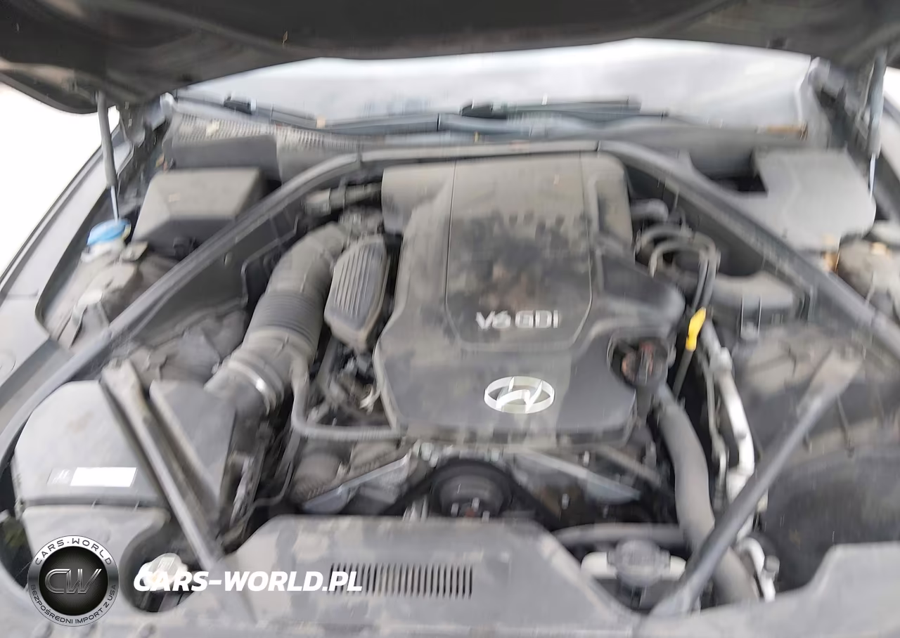 2015 Hyundai Genesis 3.8 VIN:KMHGN4JE6FU045989 - 10