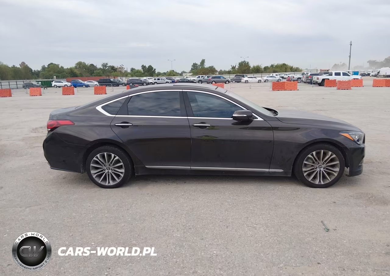 2015 Hyundai Genesis 3.8 VIN:KMHGN4JE6FU045989 - 13