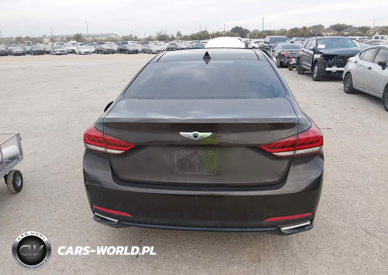 2015 Hyundai Genesis 3.8 VIN:KMHGN4JE6FU045989 - 16
