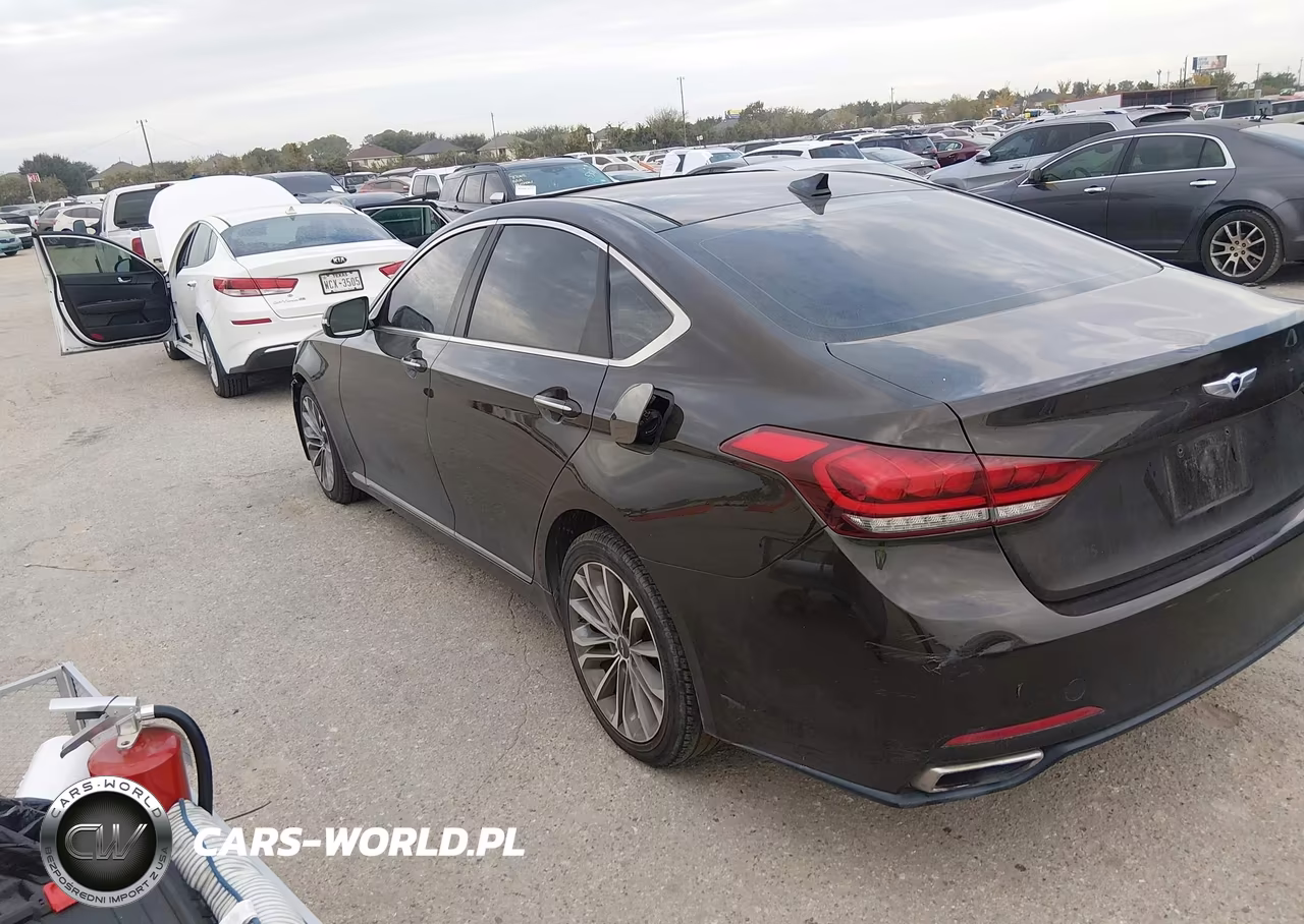 2015 Hyundai Genesis 3.8 VIN:KMHGN4JE6FU045989 - 3
