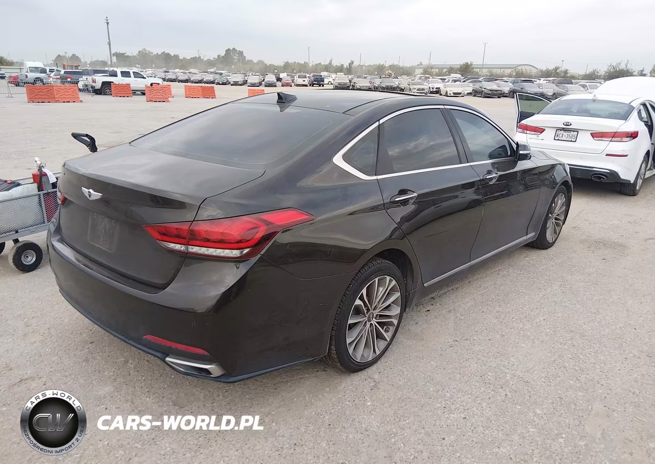 2015 Hyundai Genesis 3.8 VIN:KMHGN4JE6FU045989 - 4