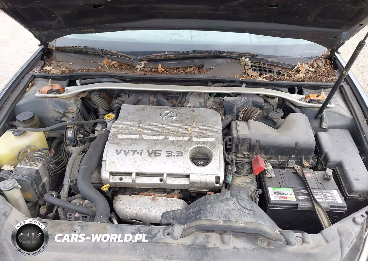 2005 Lexus Es 330 VIN:JTHBA30G355116161 - 10