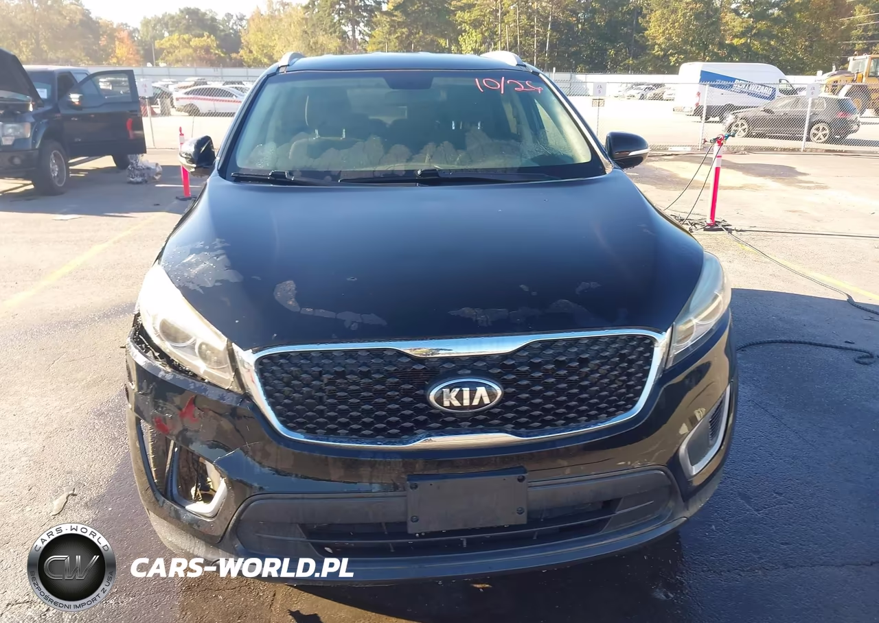 2017 Kia Sorento 3.3L Lx VIN:5XYPGDA54HG198910 - 12