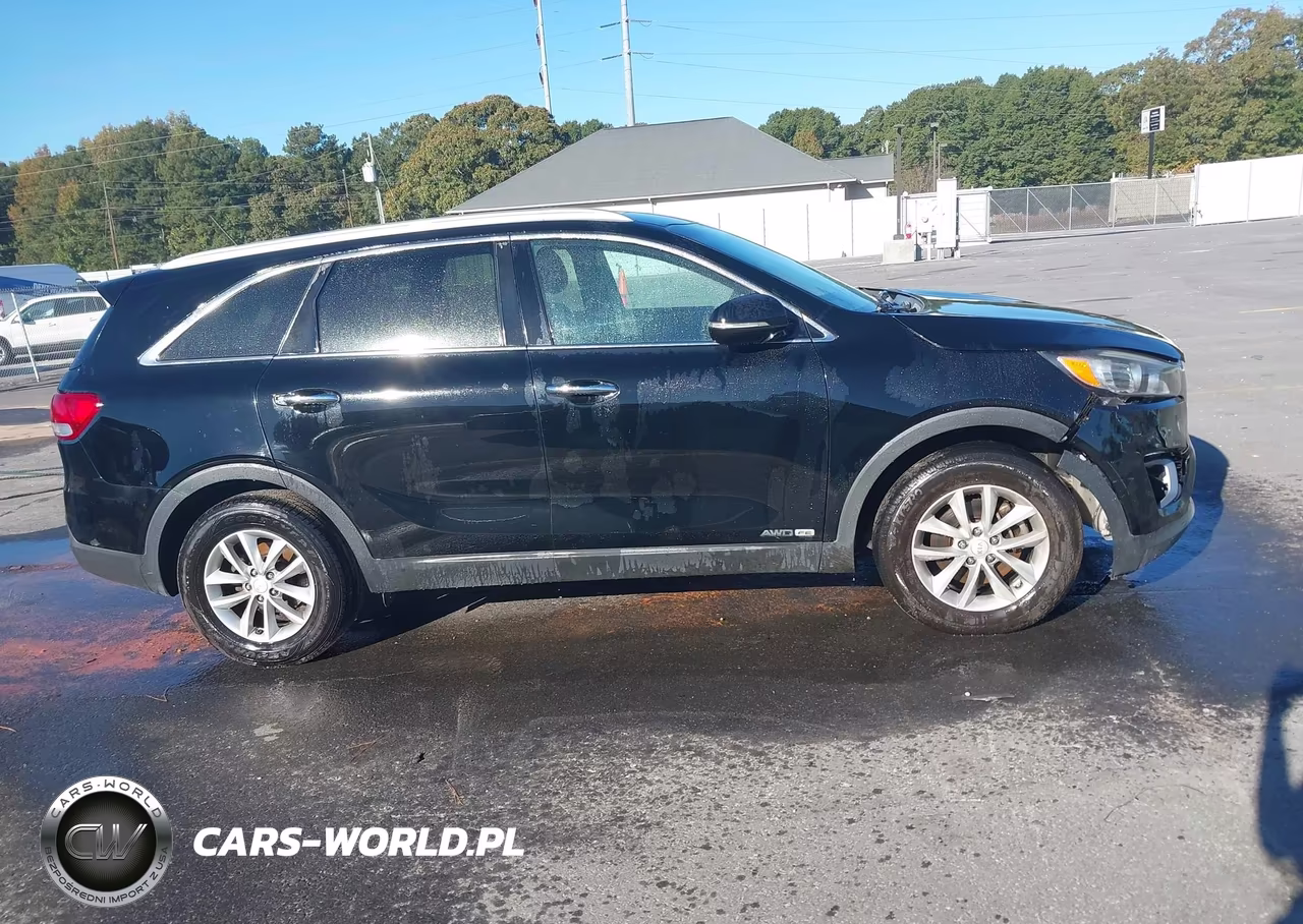 2017 Kia Sorento 3.3L Lx VIN:5XYPGDA54HG198910 - 13