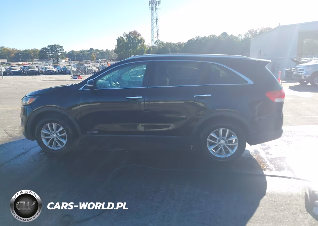 2017 Kia Sorento 3.3L Lx VIN:5XYPGDA54HG198910 - 14