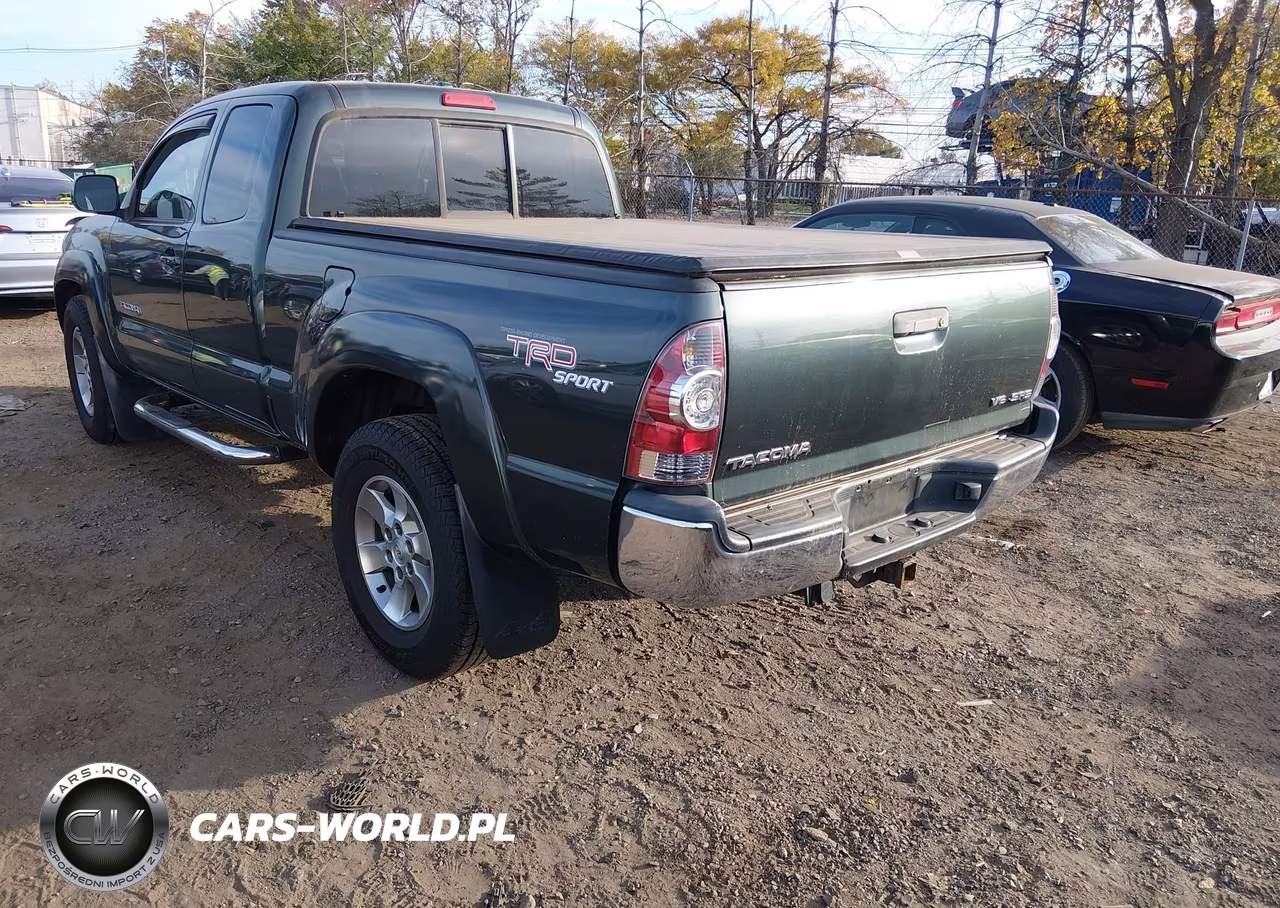 2009 Toyota Tacoma Base V6 VIN:5TEUU42N99Z655101 - 3