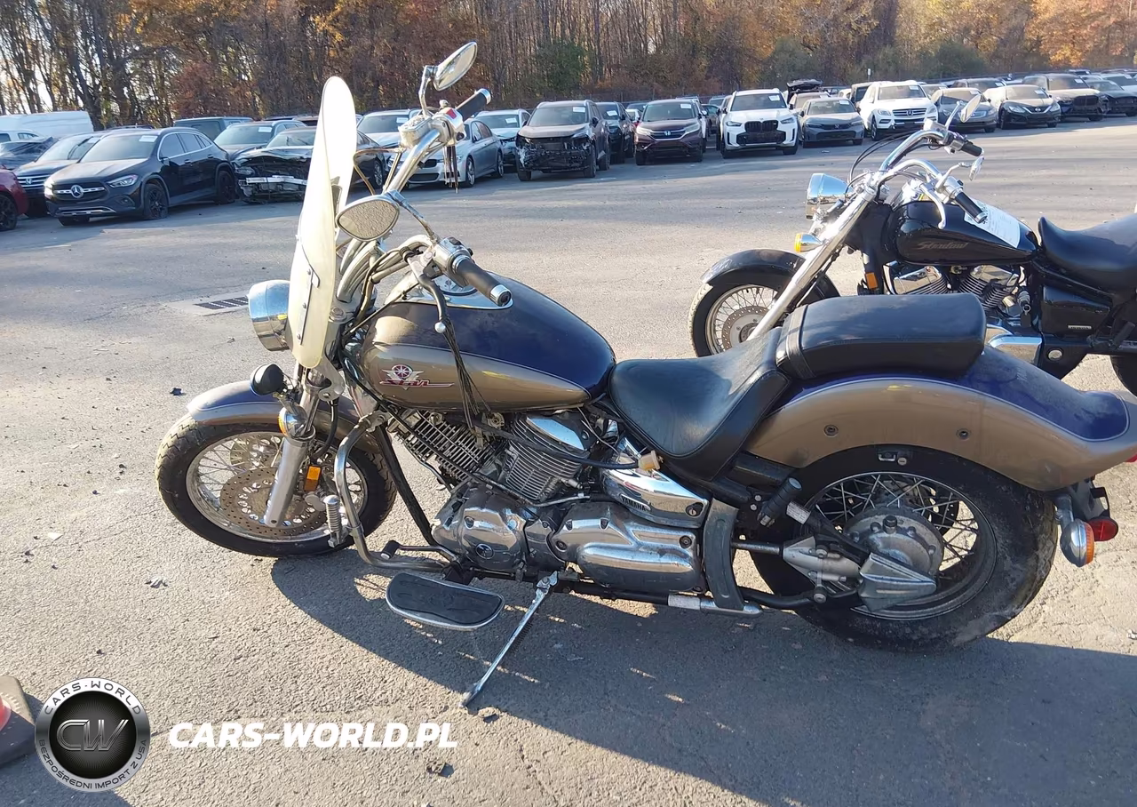2001 Yamaha Xvs1100 VIN:JYAVP11E11A018631 - 13