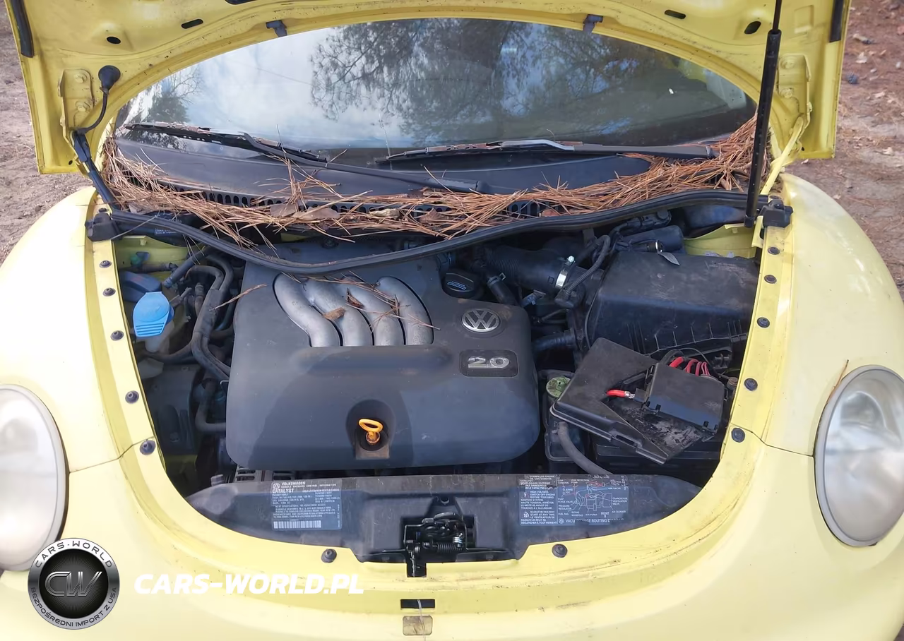 2000 Volkswagen Beetle VIN:3VWCC21C5YM402661 - 10