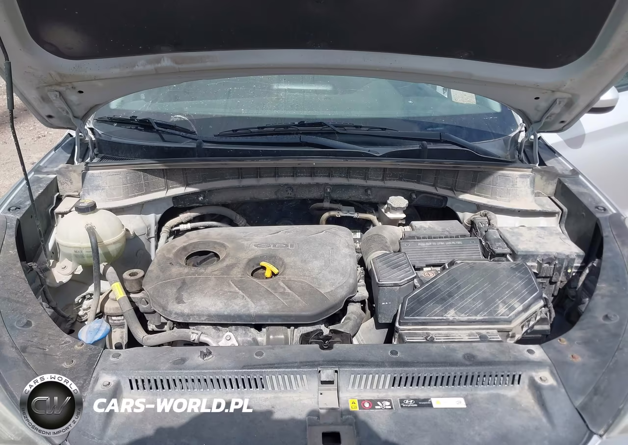 2019 Hyundai Tucson Se VIN:KM8J2CA45KU870884 - 10