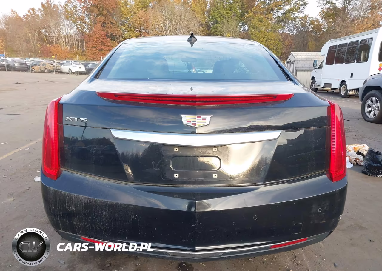 2017 Cadillac Xts W20 Livery Package VIN:2G61U5S30H9121080 - 16
