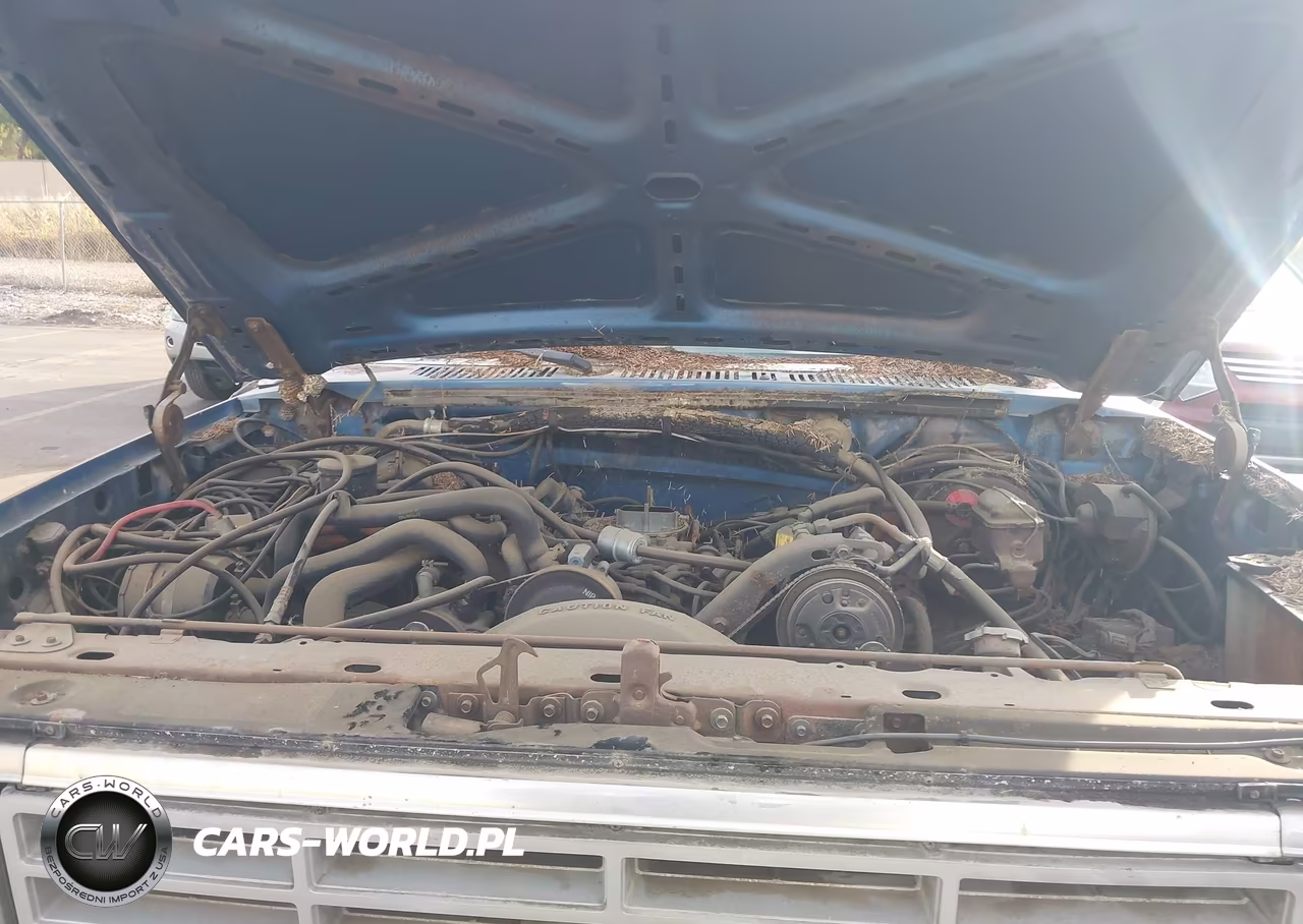 1985 Ford F250 VIN:1FTHX26L6FKB15713 - 10