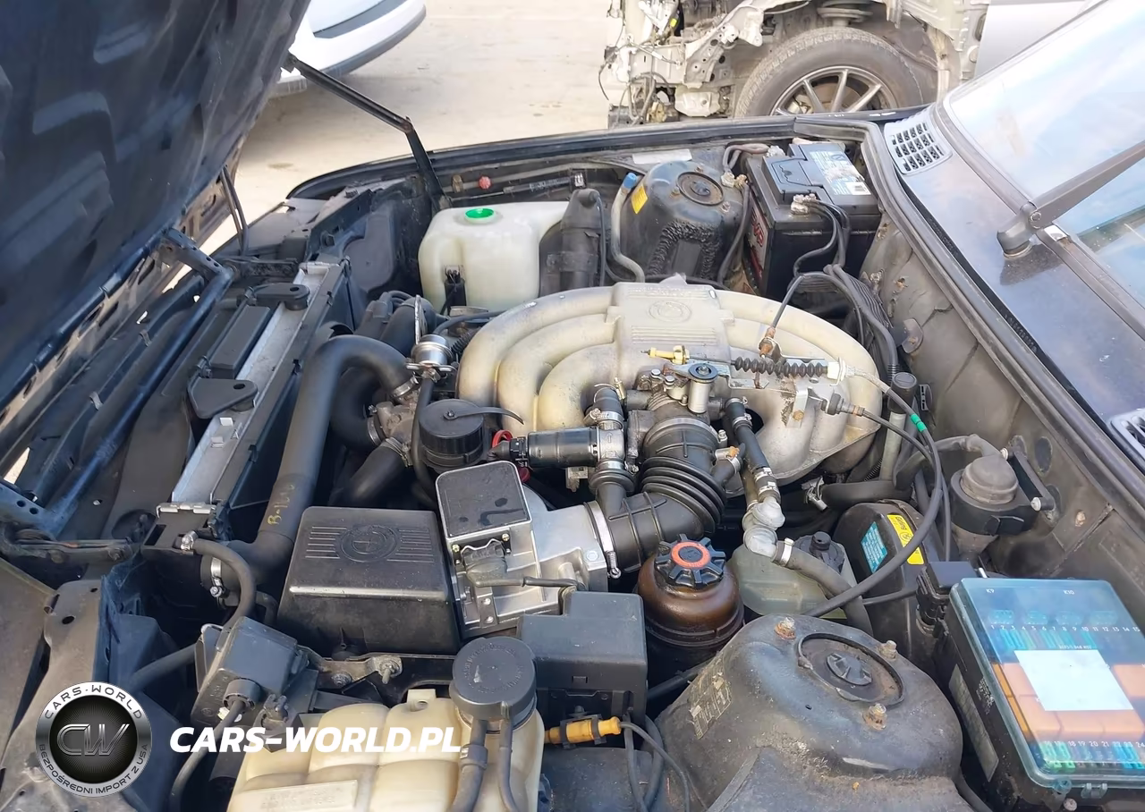 1989 BMW 325 VIN:WBABB230XLEC22644 - 10
